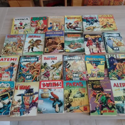 Lot de 24 BD de poche, divers (2)